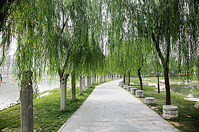 极乐av一区二区：畅游视听盛宴，尽享轻松愉悦时光-2