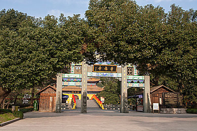 国产小马拉车小男孩：奋斗足迹，小马少年筑梦征途-3