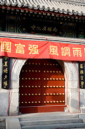 兔子好软水好多：水清鱼跃家园美，生态守护共前行-1