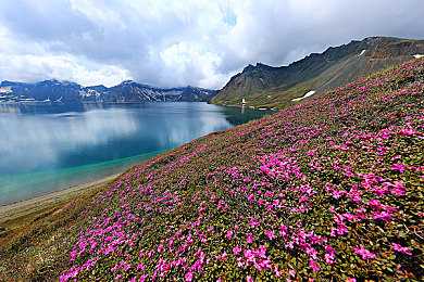 旅行者趴在心海身上运动是什么：心海浪潮，勇者跃动，身心挑战之旅-2