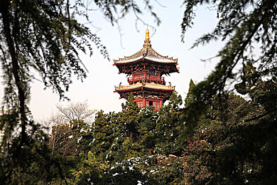 国产91探花足疗勾搭技师：足疗秘境探秘：揭秘技师魅力，养生之旅温馨启航-3