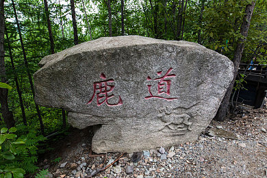铜铜铜铜铜铜铜铜好大好深色：神秘“铜海”现我国知名景点，古老金属板见证历史与文化传承，网友热议保护呼吁-3