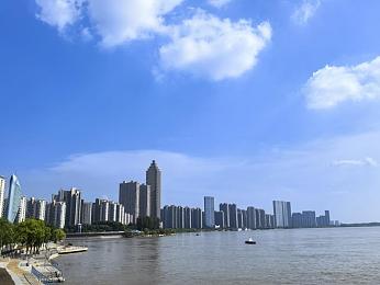 黄色视频404：网络清朗守卫者：揭秘“404”背后的监管危机-4