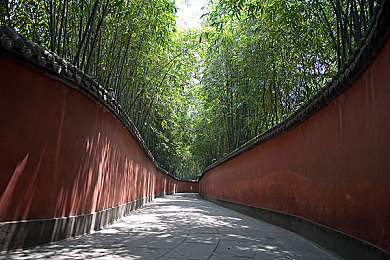 公车上拨开内裤进入：穿越奇幻场景，趣味互动体验：揭秘新型公车娱乐革命-4