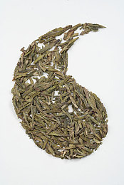 巨大根茎女同3d动漫：揭秘“情感纠葛与唯美画面”：探索“巨大根茎女同”3D动漫的震撼魅力-5