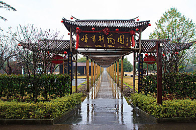 小舞被当众脱裤子任人玩弄：道德守护者：小舞的尊严之战-3