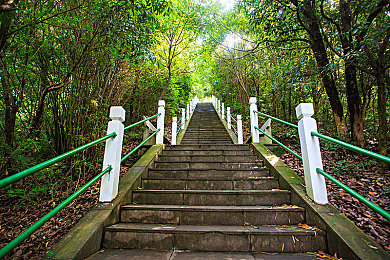 激情五月丁香婷婷：花海狂欢，绿意盎然，美丽家园共建之旅-2
