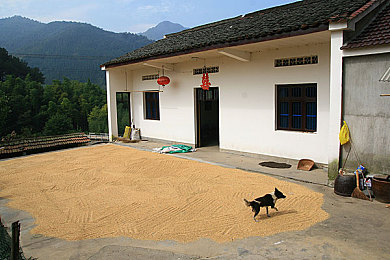 tobu8馃憴馃憴83：奇名游戏Tobu8：馃憴馃憴83引热议，探险之旅燃动玩家心-2