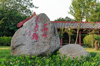 激情成人五月天：音乐狂欢盛宴，成人青春共鸣之旅-2