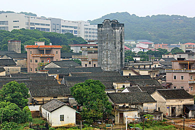 花季传禖3次免费：春意盎然，花之恋送暖：爱心传递，三次免费共享花季温情-3