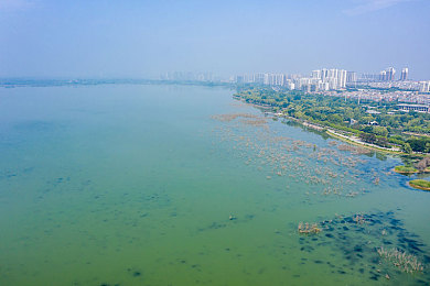 男生女生差差大全网站：性别差异探秘乐园，趣味互动大揭秘-3