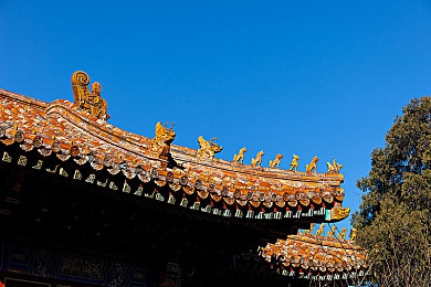 夫妻交换：《互换人生》：模拟夫妻角色交换，探索婚姻生活情感波澜-3