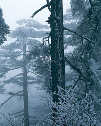 爽 躁多水 快 深点原神：《原神》新篇激荡，爽快深探无限世界-2