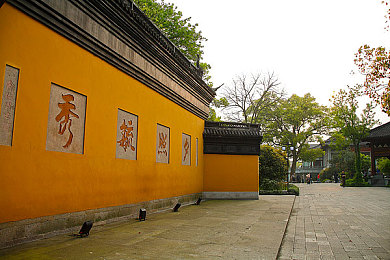 学生吃老师：趣味互动新潮流：揭秘‘学生吃老师’游戏如何拉近师生距离-5