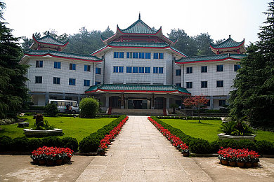 黄色软件OPOO：颠覆视听，OPOO打造娱乐新天地-2