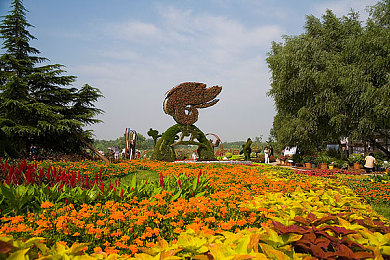 yy6080青苹果：yy6080平台引领观影新潮流，打造高清便捷的专属影视盛宴-3