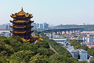 免费吃瓜 爆料曝光 独家揭秘：游戏圈揭秘：内部管理、主播收入、内购真相，独家大揭秘！-3