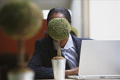色情一区二区：巧用一区二区策略，揭秘游戏网站SEO流量双倍增长秘籍-1