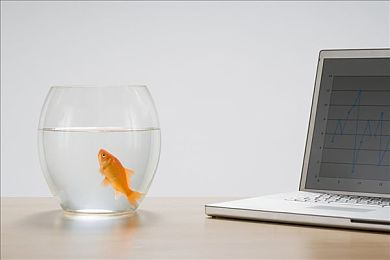 流氓软件下载app下载隐私下载：数字时代警惕隐私泄露：安全下载APP，共筑健康网络环境-3