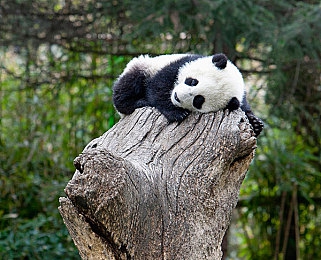 www.色悠悠：色彩盛宴，悠游光影世界-2