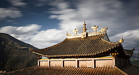 heiliaoshequ：探寻网络新天地：“heiliaoshequ”打造兴趣社区，连接梦想与生活-4