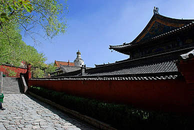 五月天婷婷一区：音乐乐园，五月天婷婷一区，尽享视听盛宴-2