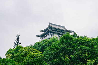 榴莲草莓绿巨人视频：短视频创意新潮流：揭秘榴莲草莓绿巨人现象背后的魅力-3