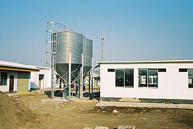 班马电影街：班马电影街：综合性文化街区崛起，打造城市文化生活新地标-4