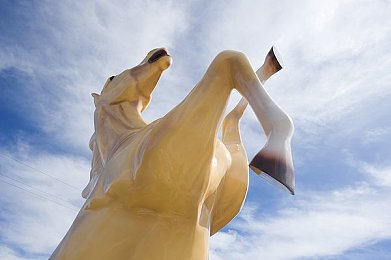 DD4应用下载安装官网：畅游奇幻世界，体验全新游戏盛宴平台-3
