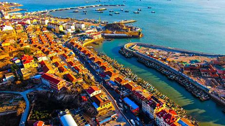 唐三把比比东埇的不亦乐乎MBA：斗罗MBA奇境，唐三笑迎商战智慧之旅-4
