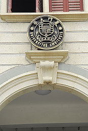 原神女角色翻白眼流眼泪流口水,魅影：神秘魅影表情独步江湖，揭秘原神中独特技能与团队搭配艺术-2