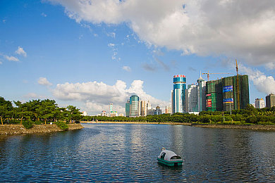 美女直播间：揭秘直播清流：探寻“美女直播间”魅力与价值，打造精神家园