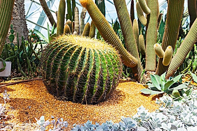 成人草莓视频：草莓王国探险记：揭秘神秘视频制作奇遇-3