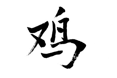 世界比赛最小三点式巴西：巴西绿茵欢乐启航，足球竞技乐无边-4