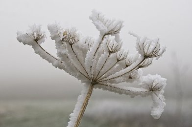 晚上十大禁用软件黄台：夜幕降临，避雷十大禁用软件，畅游游戏之夜攻略全解析-2