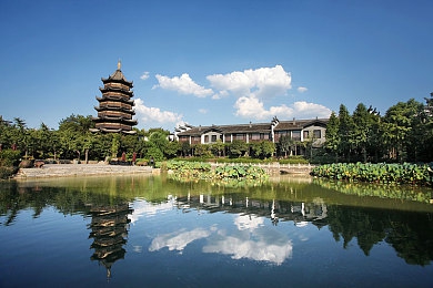 罗宾乔巴本子解毒不能说的秘密：奇幻谜境深探秘，游戏世界揭秘之旅-3
