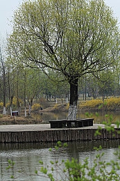 男生女生打扑克秘 网站：扑克对决智慧场，线上线下欢乐无限-2