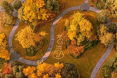 胸片2025年最新版：影像革新，胸片2025：智慧医疗新篇章-3