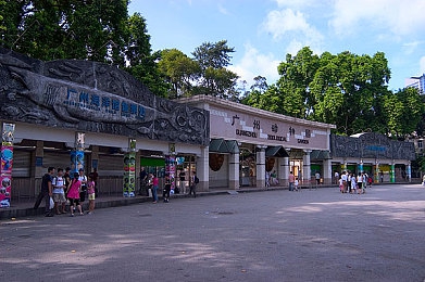 打扑克视频又叫又疼：牌局心跳，智慧竞技：打扑克视频，体验“叫又疼”的娱乐盛宴-4