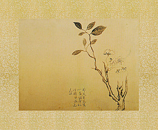 黄色3.0网站：网络暗流涌动，监管新局破茧成蝶-3
