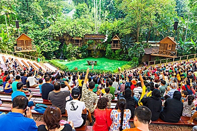 红桃隐藏入口：探索红桃王国：揭秘神秘隐藏入口，挑战奇幻游戏世界-4