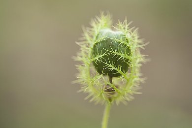 开心激情战：指尖硝烟燃青春，战火激情竞技场-5