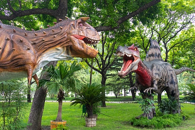 粉色app苏州晶体：苏州晶体领域新标杆：揭秘引领科技潮流的粉色应用魅力-2