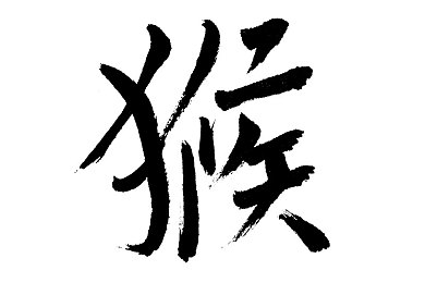 仙踪林老狼直接入口欢迎您：神秘仙踪林探险之旅，探寻老狼直接入口宝藏-3