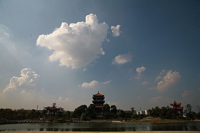 黄色软件网页：揭开网络低俗之幕：揭秘历史与防范攻略，守护清朗网络空间-1