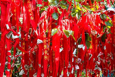 男生女生一起差差差轮滑：轮滑场上青春碰撞：男女携手展现速度与激情，共创精彩人生-1