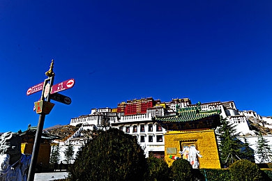 双人拨萝卜免费：携手好友，畅享乐趣：休闲游戏新篇章-3