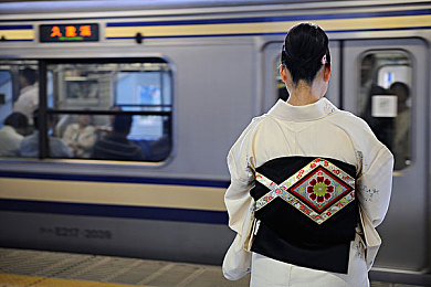 埃及猫跳舞原视频,埃及萌猫舞动网络，梦想成真-4