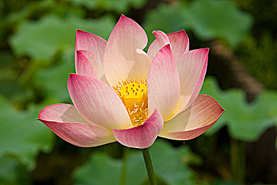 将界2第三集蕾雷打扑克：《将界2》扑克盛宴：蕾雷狂欢释放欢乐压力-3