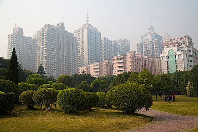 kTv男互撸网钻,神秘APP走红，娱乐社交两不误-2